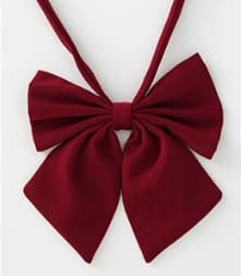 セーラー服 伝統的スタイルの セット