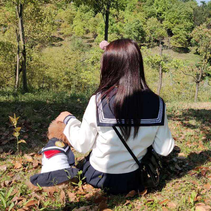 セーラー服 ペット用 風コスチューム