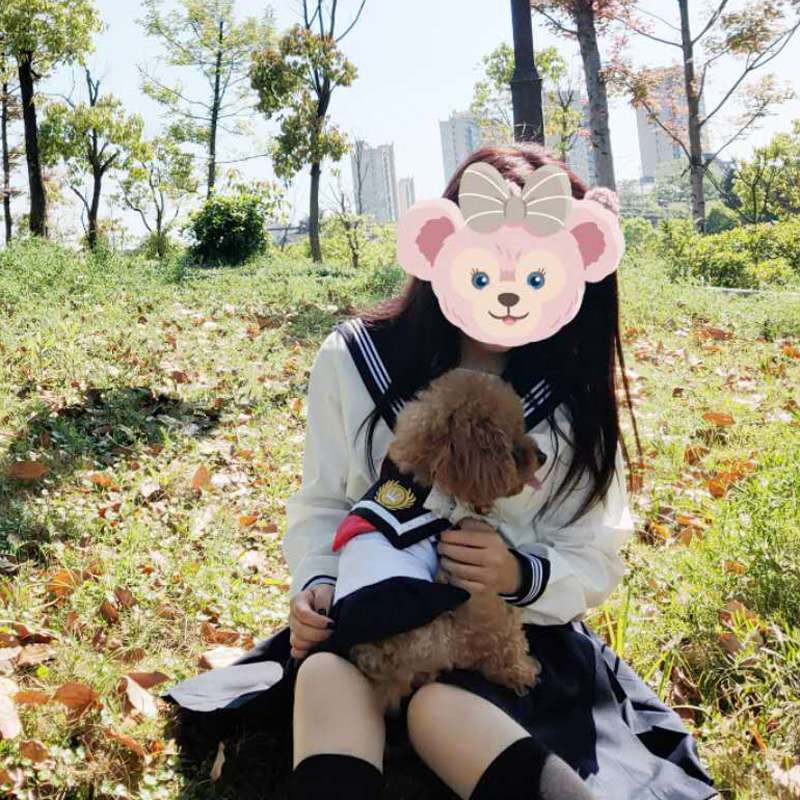 セーラー服 ペット用 風コスチューム