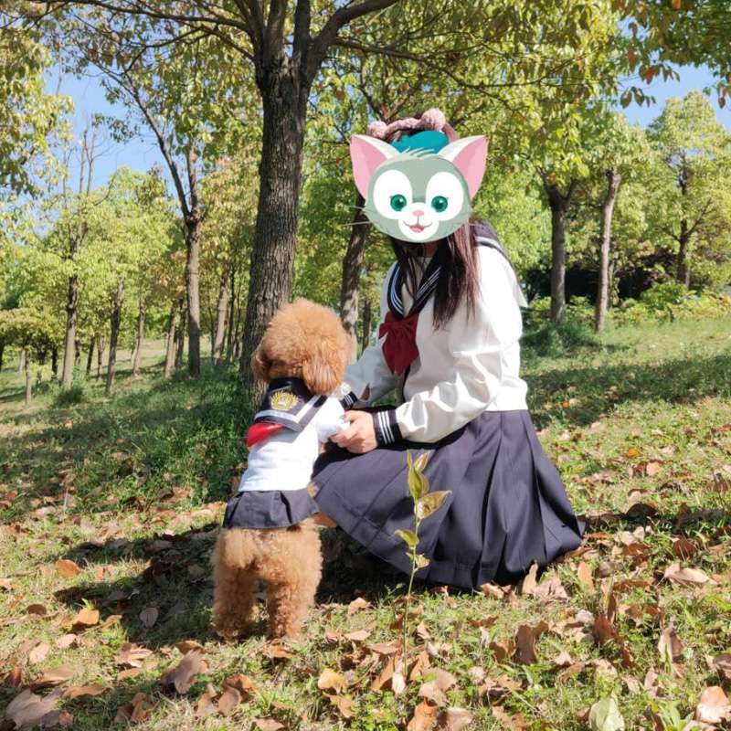 セーラー服 ペット用 風コスチューム