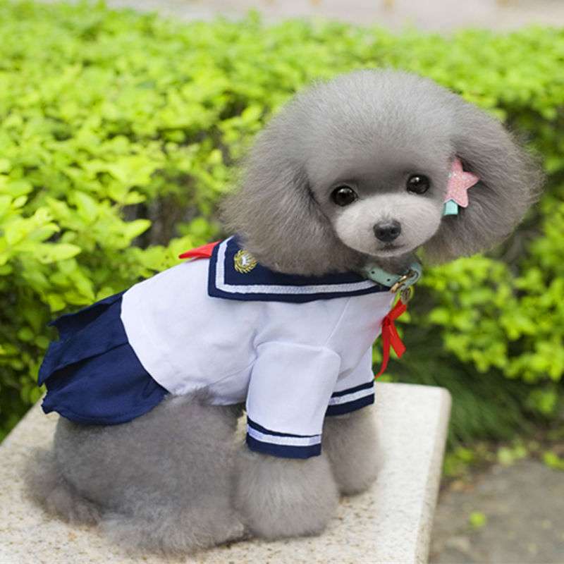 セーラー服 わんちゃん用 可愛いマリン風制服