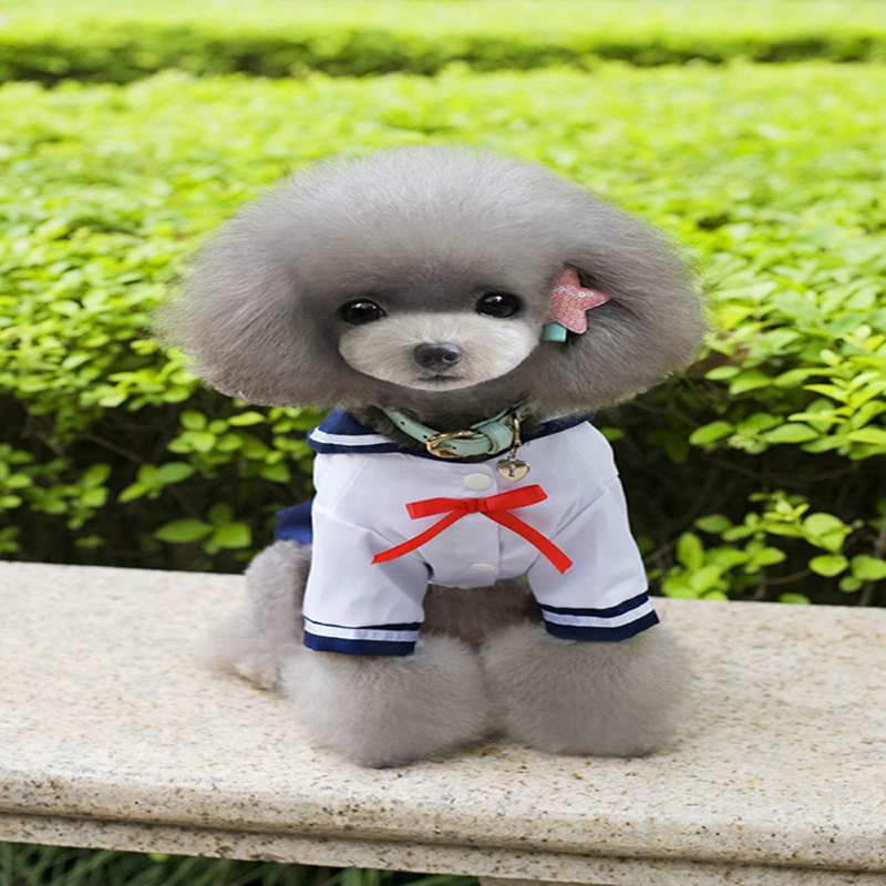 セーラー服 わんちゃん用 可愛いマリン風制服