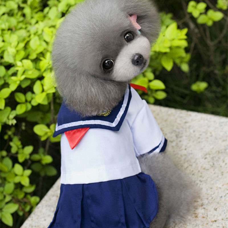セーラー服 わんちゃん用 可愛いマリン風制服